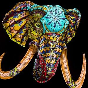 🐘 🌍 🐘• 🦅 RockEagle x OG Vibes 🦅• 🌍🐘🌍